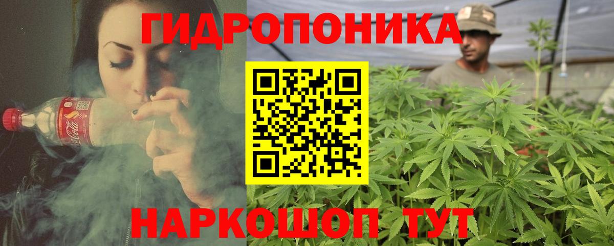 Конопля гибрид  Конопля планчик  Дятьково  Вход с VPN  Каннабис Amnesia 